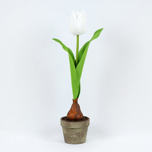 16" Faux Potted Tulip Arrangement - Green, White & Brown