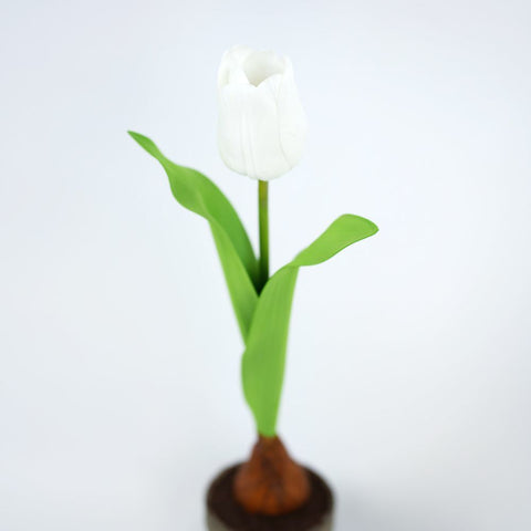 16" Faux Potted Tulip Arrangement - Green, White & Brown