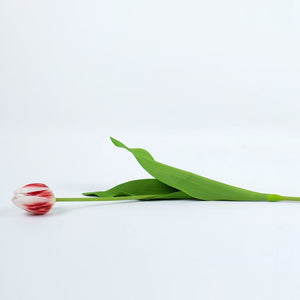 26" Multicolor Faux Tulip Stem
