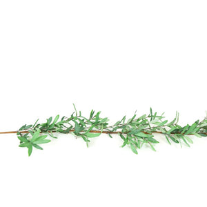 5 Olive Garland by Dwella Decor