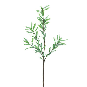 39" Ollie Olive Branch Decor