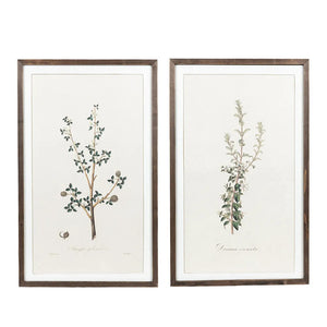 20" x 33" Reversible Large Botanical Wood Wall Art - Multicolor