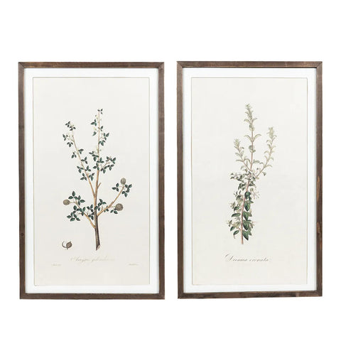 20" x 33" Reversible Large Botanical Wood Wall Art - Multicolor