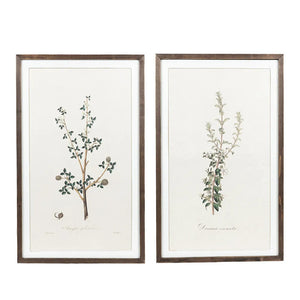 Reversible Wood Frame Sign - Gileadensis Collection
