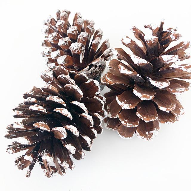 Frosted Pine Cones (Set of 3) – Foundations Decor