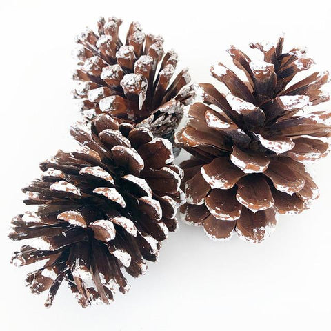 Frosted Pine Cones (Set of 3)