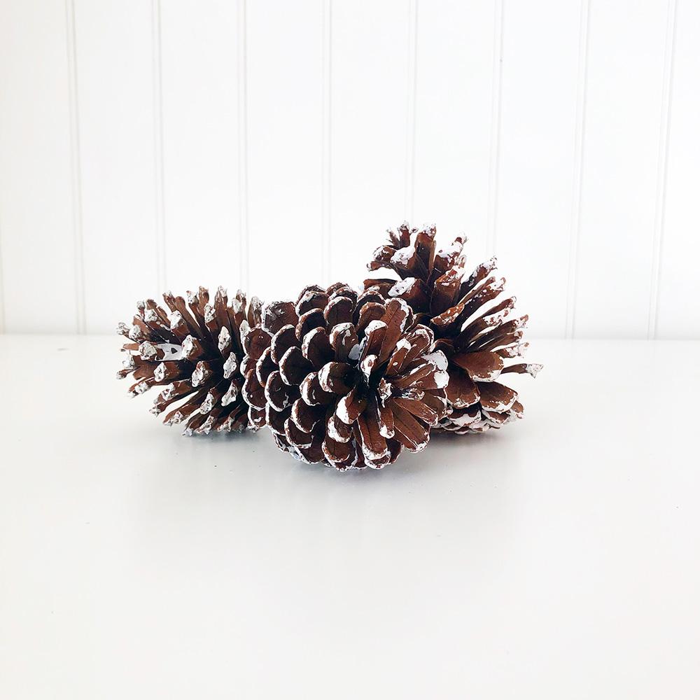 Medium Frosted Pine Cone w/Pick 3.5